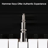 TheONE Smart Piano NEX Black Hammer Action Keys